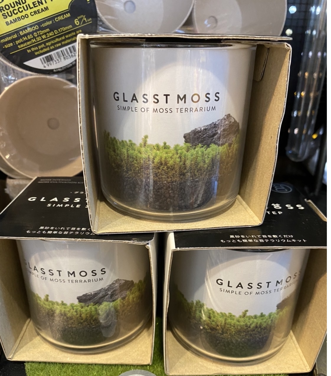 GLASST MOSS